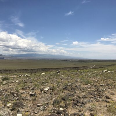 More steppes