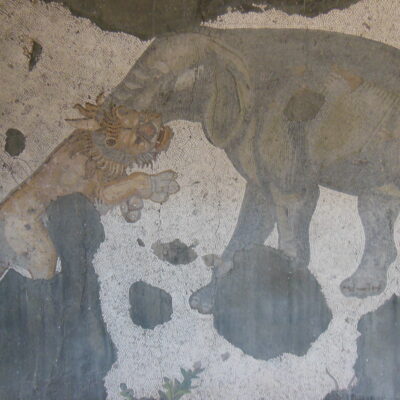 Beast combats: an elephant attacks a lion. From the Great Palace Mosaic Museum in Istanbul, Turkey.